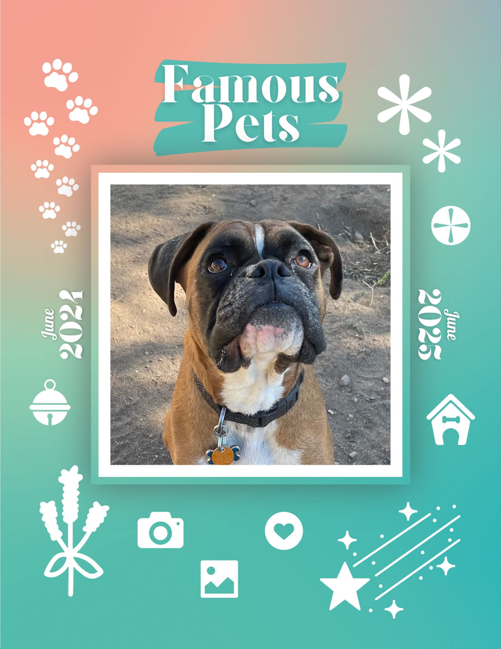 Famous Pets: June 2024-June 2025 Wall Calendar (Pre-Order)