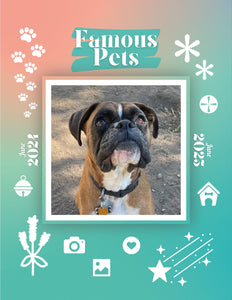 Famous Pets: June 2024-June 2025 Wall Calendar (Pre-Order)