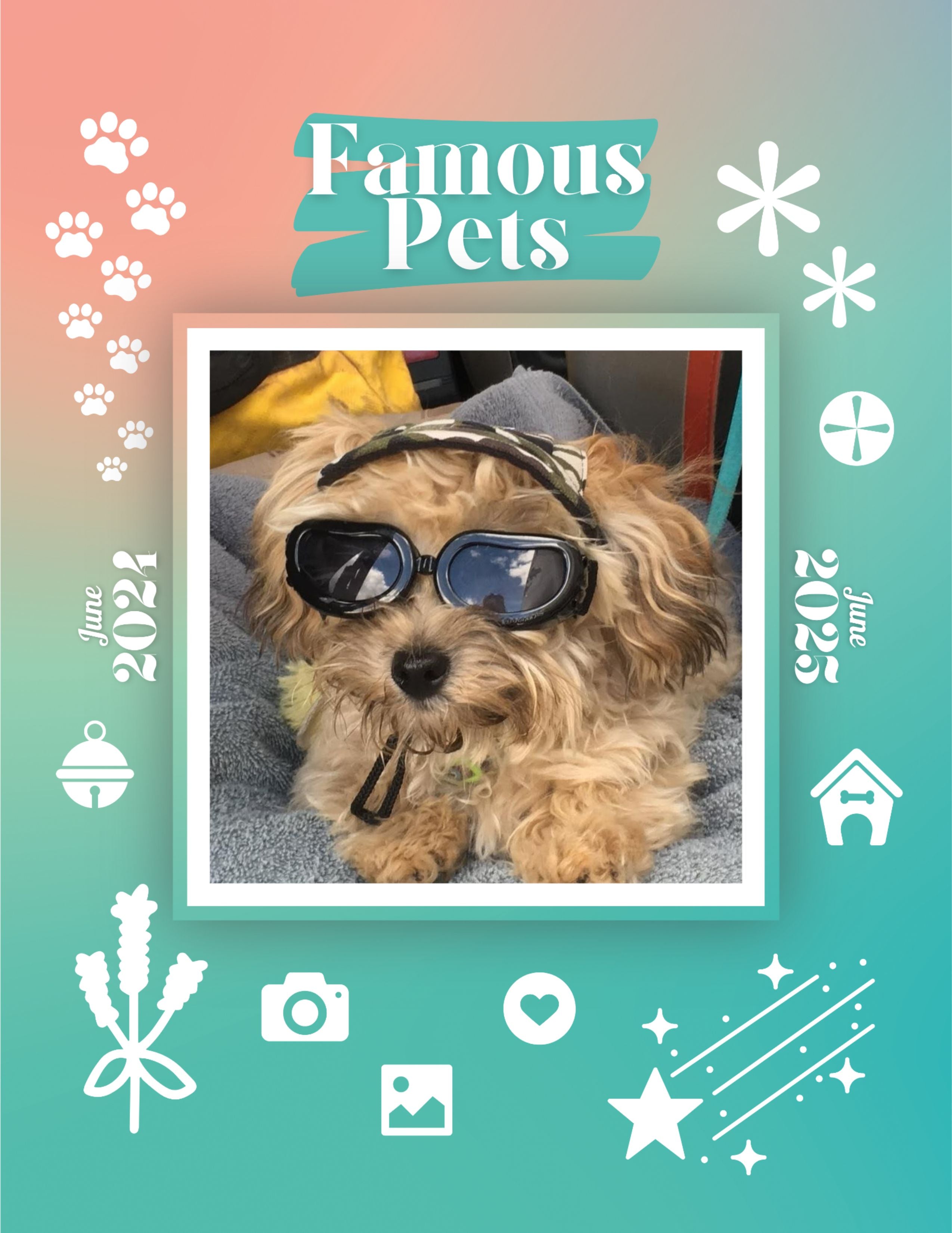 Famous Pets: June 2024-June 2025 Wall Calendar (Pre-Order)