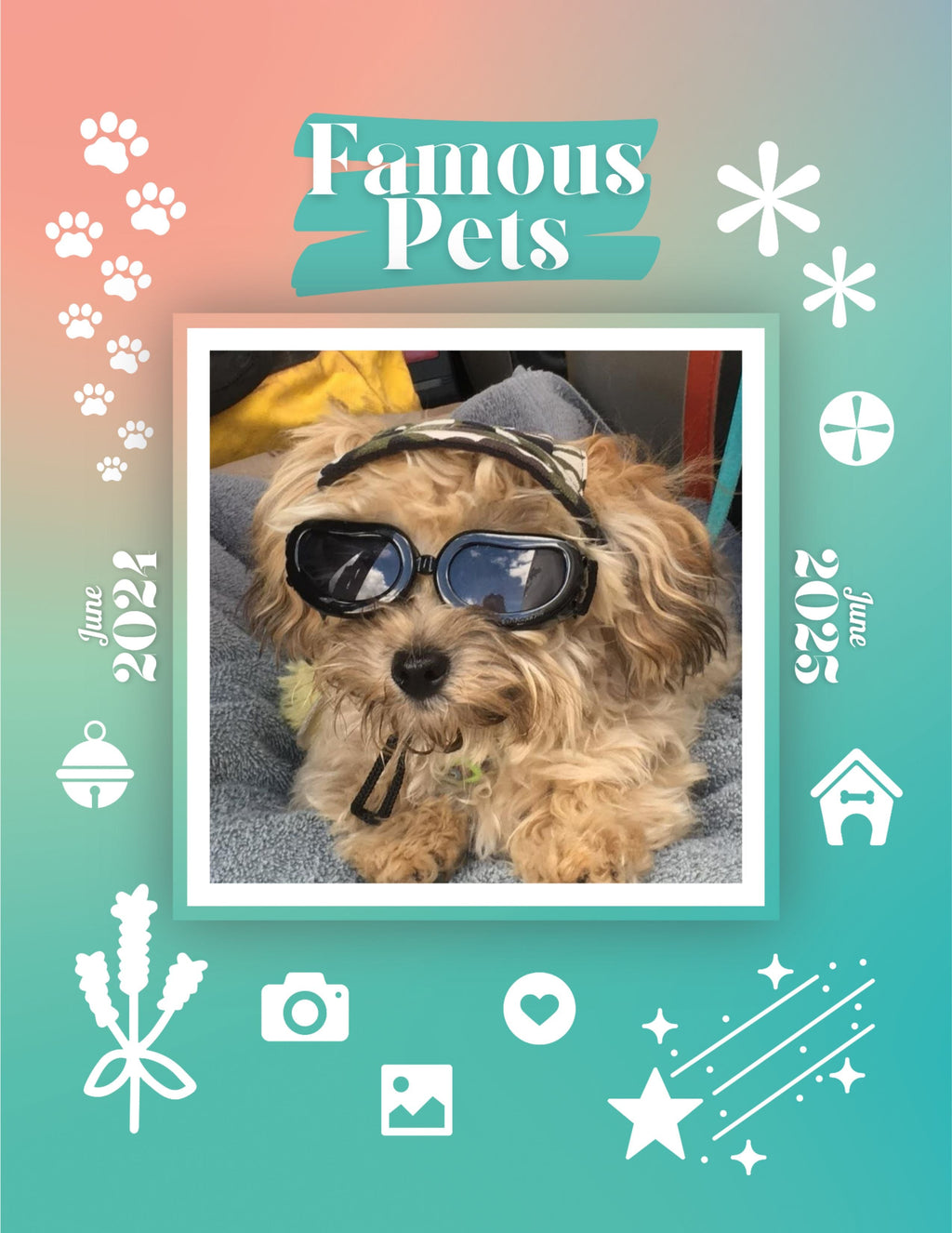 Famous Pets: June 2024-June 2025 Wall Calendar (Pre-Order)