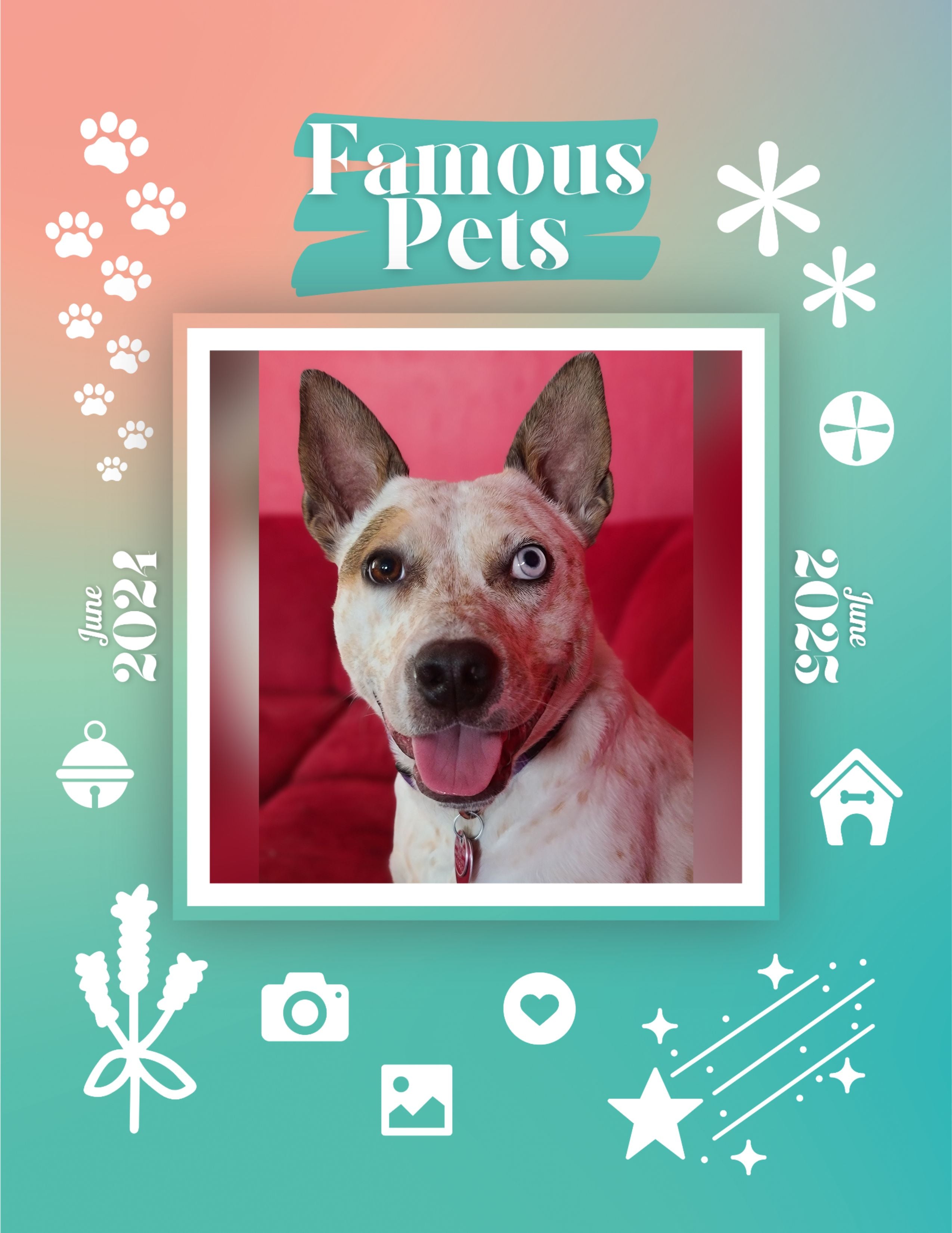 Famous Pets: June 2024-June 2025 Wall Calendar (Pre-Order)