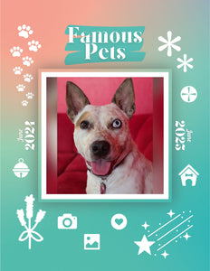 Famous Pets: June 2024-June 2025 Wall Calendar (Pre-Order)