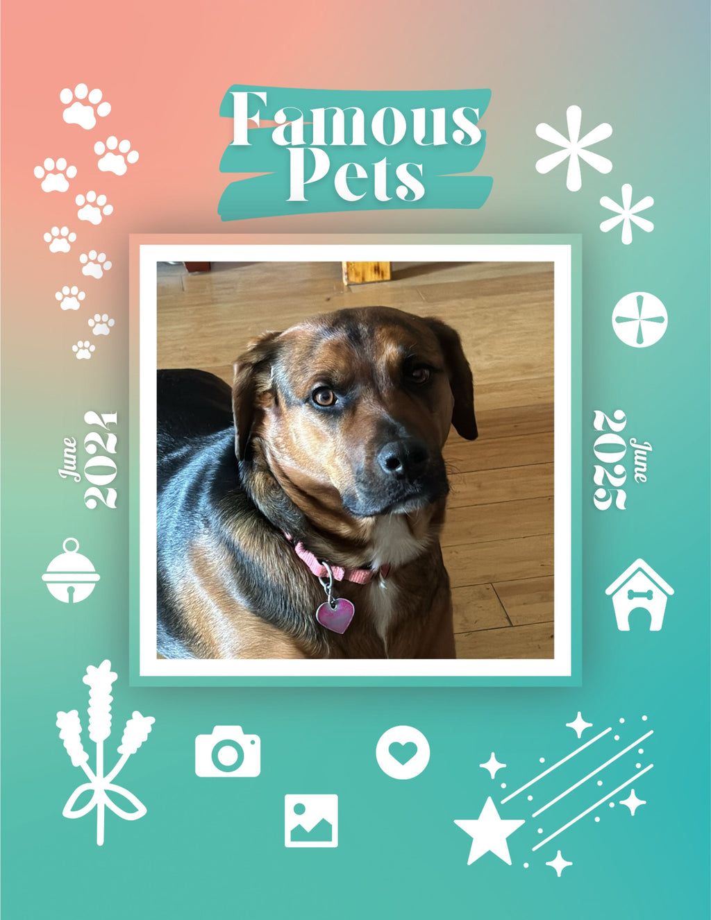 Famous Pets: June 2024-June 2025 Wall Calendar (Pre-Order)