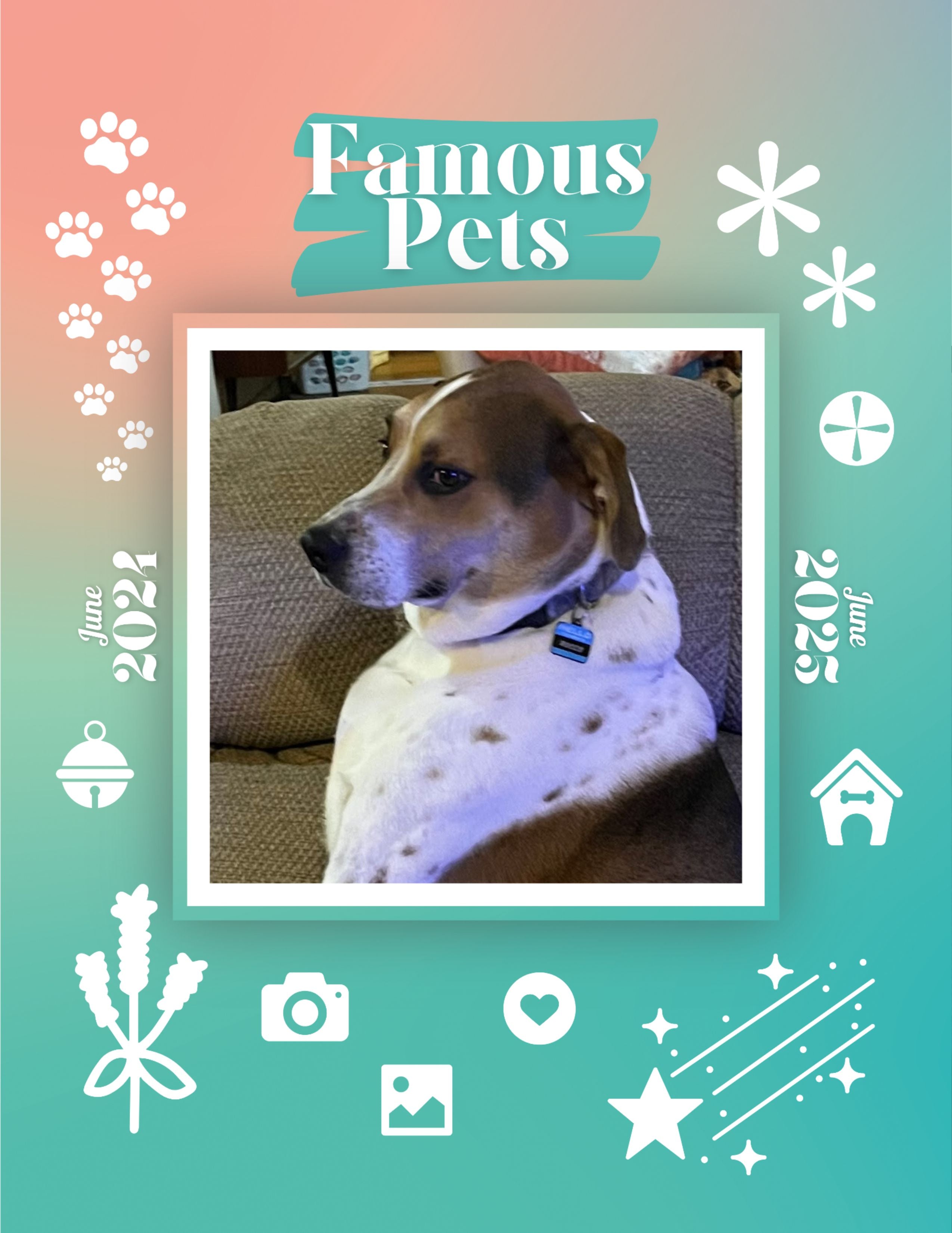 Famous Pets: June 2024-June 2025 Wall Calendar (Pre-Order)
