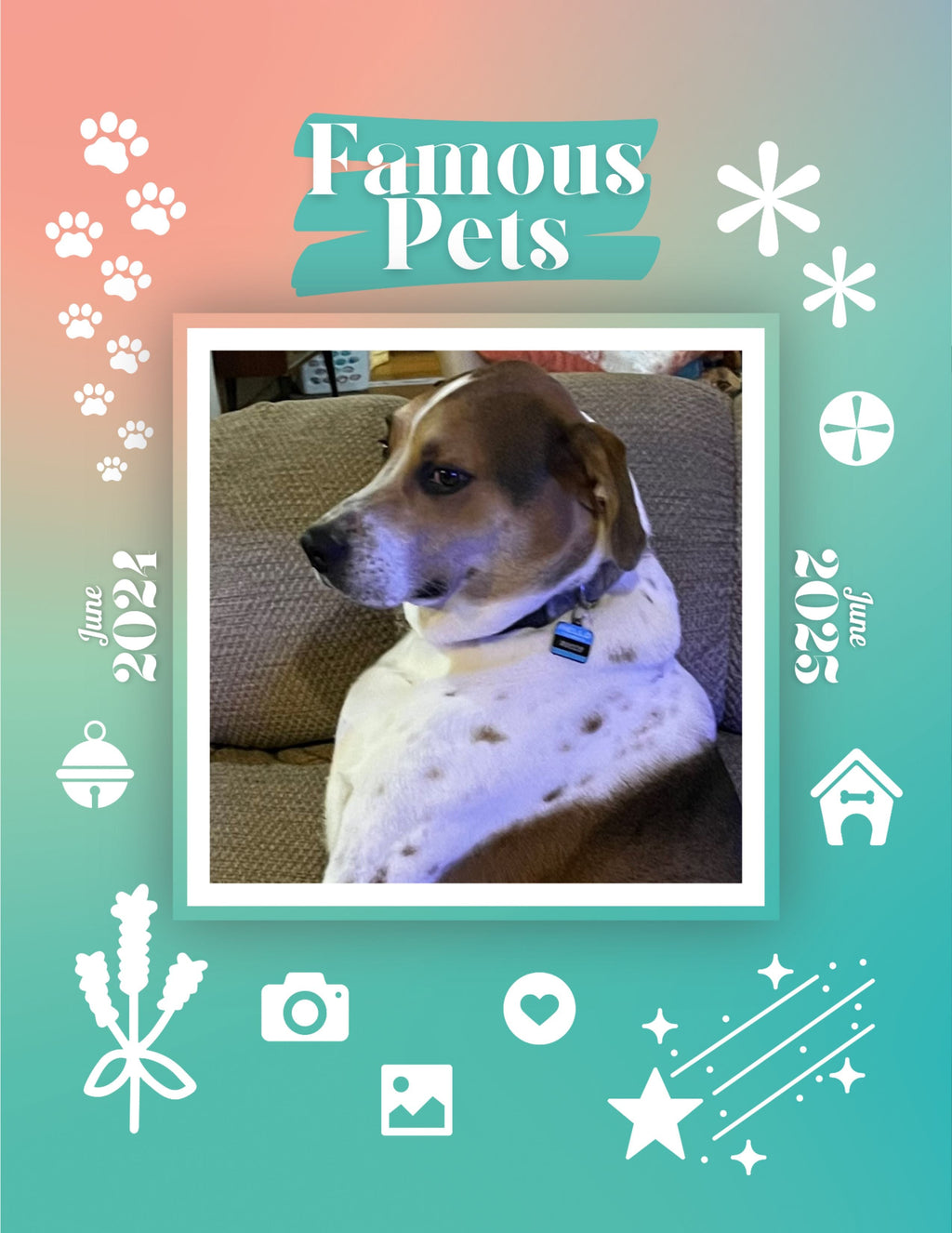 Famous Pets: June 2024-June 2025 Wall Calendar (Pre-Order)