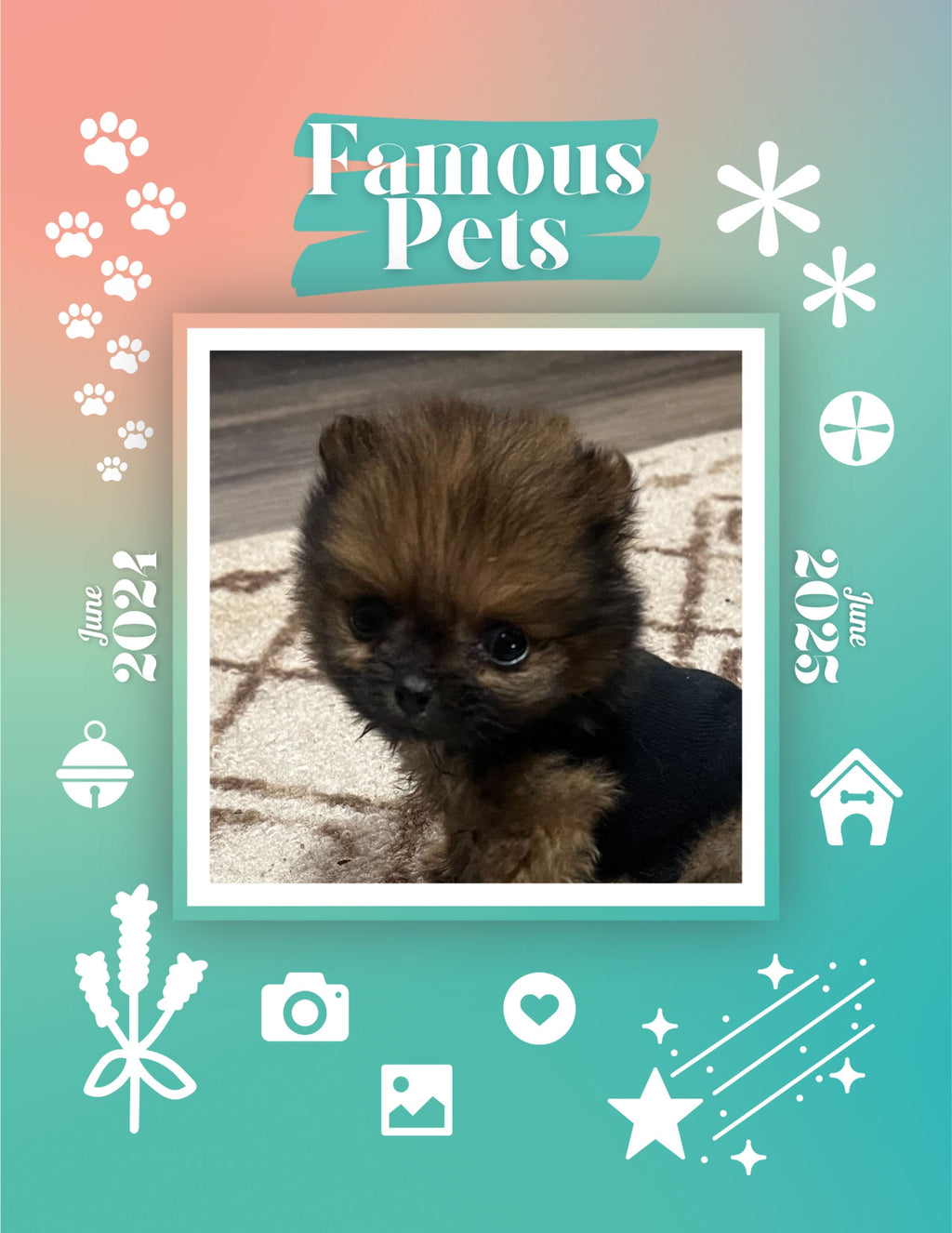 Famous Pets: June 2024-June 2025 Wall Calendar (Pre-Order)