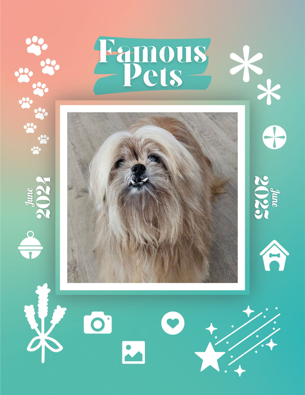 Famous Pets: June 2024-June 2025 Wall Calendar (Pre-Order)