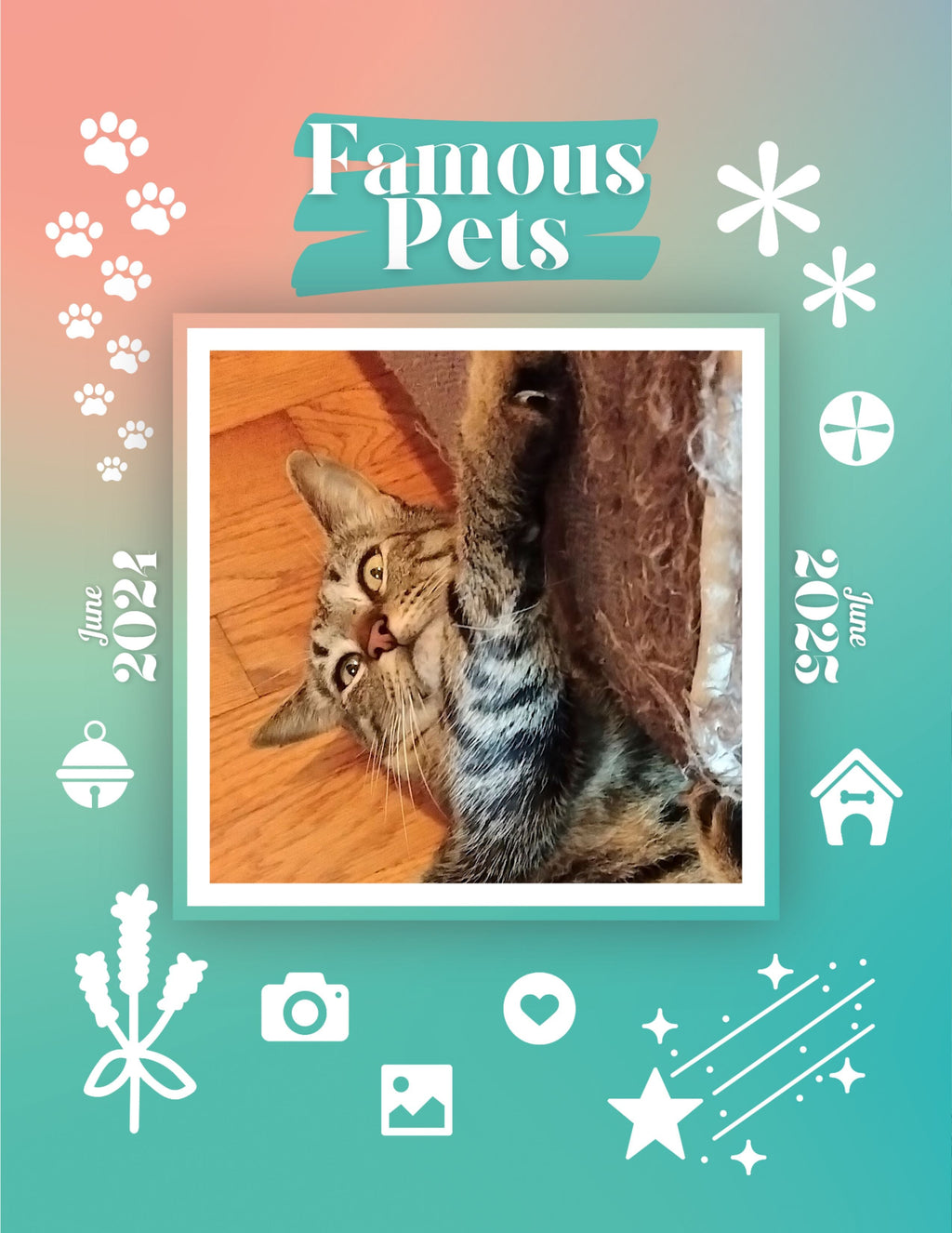 Famous Pets: June 2024-June 2025 Wall Calendar (Pre-Order)