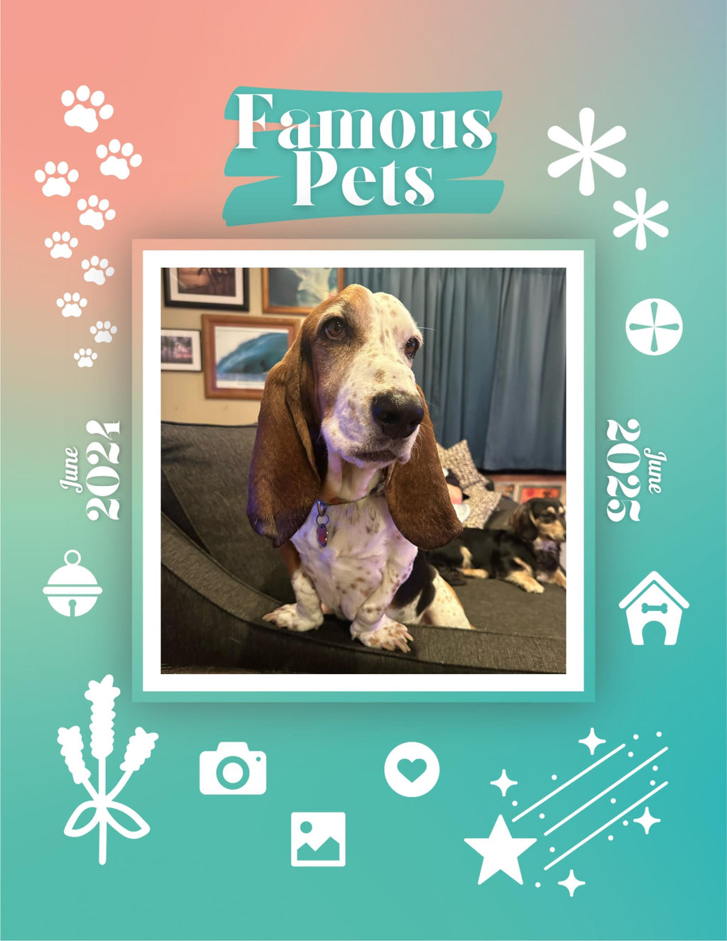 Famous Pets: June 2024-June 2025 Wall Calendar (Pre-Order)