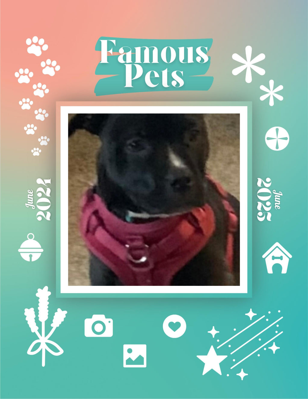 Famous Pets: June 2024-June 2025 Wall Calendar (Pre-Order)