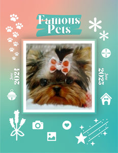 Famous Pets: June 2024-June 2025 Wall Calendar (Pre-Order)