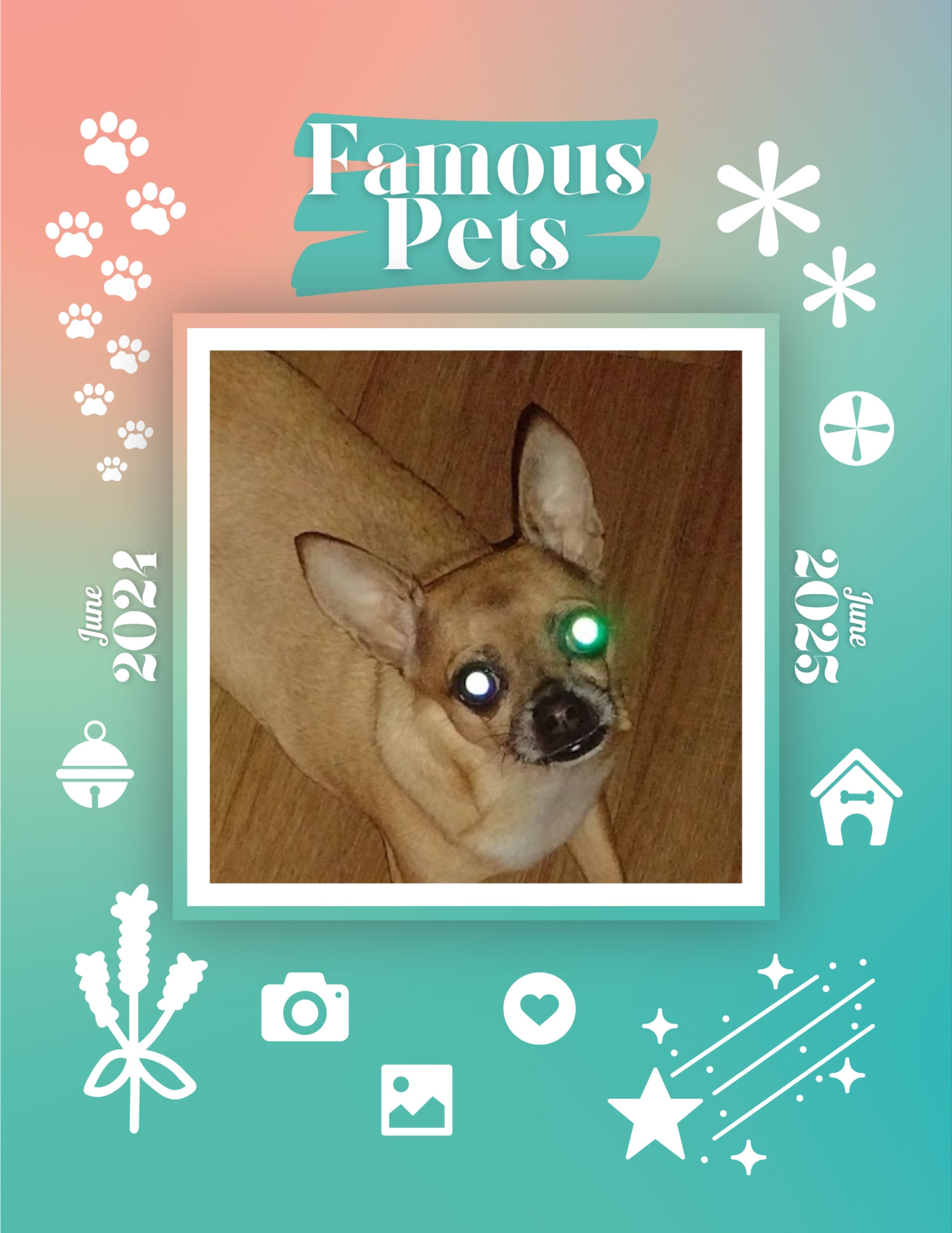 Famous Pets: June 2024-June 2025 Wall Calendar (Pre-Order)