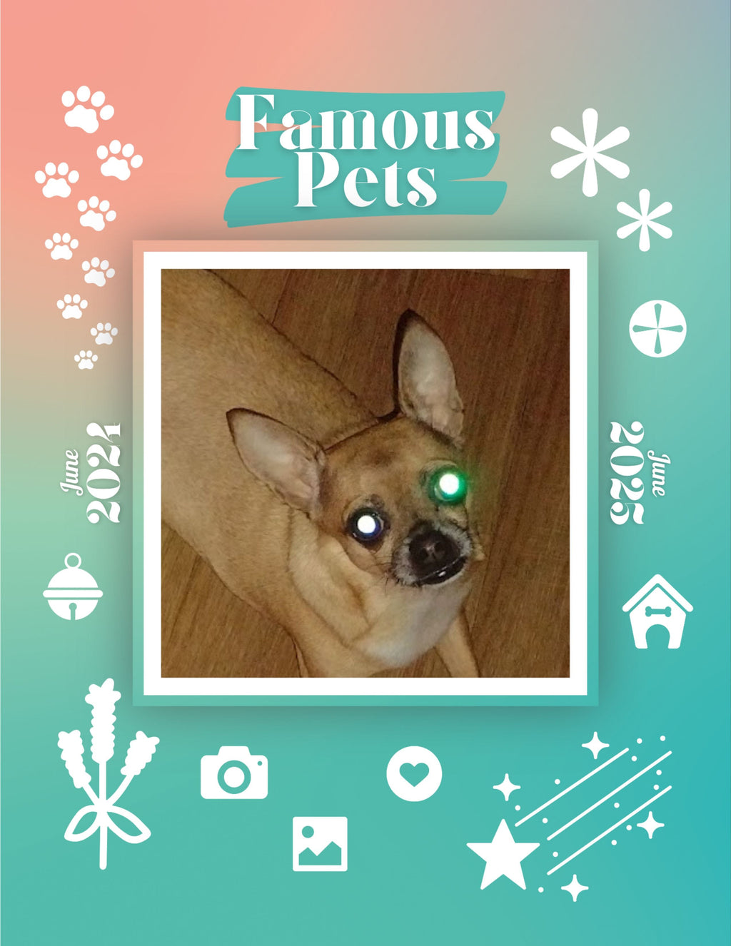 Famous Pets: June 2024-June 2025 Wall Calendar (Pre-Order)