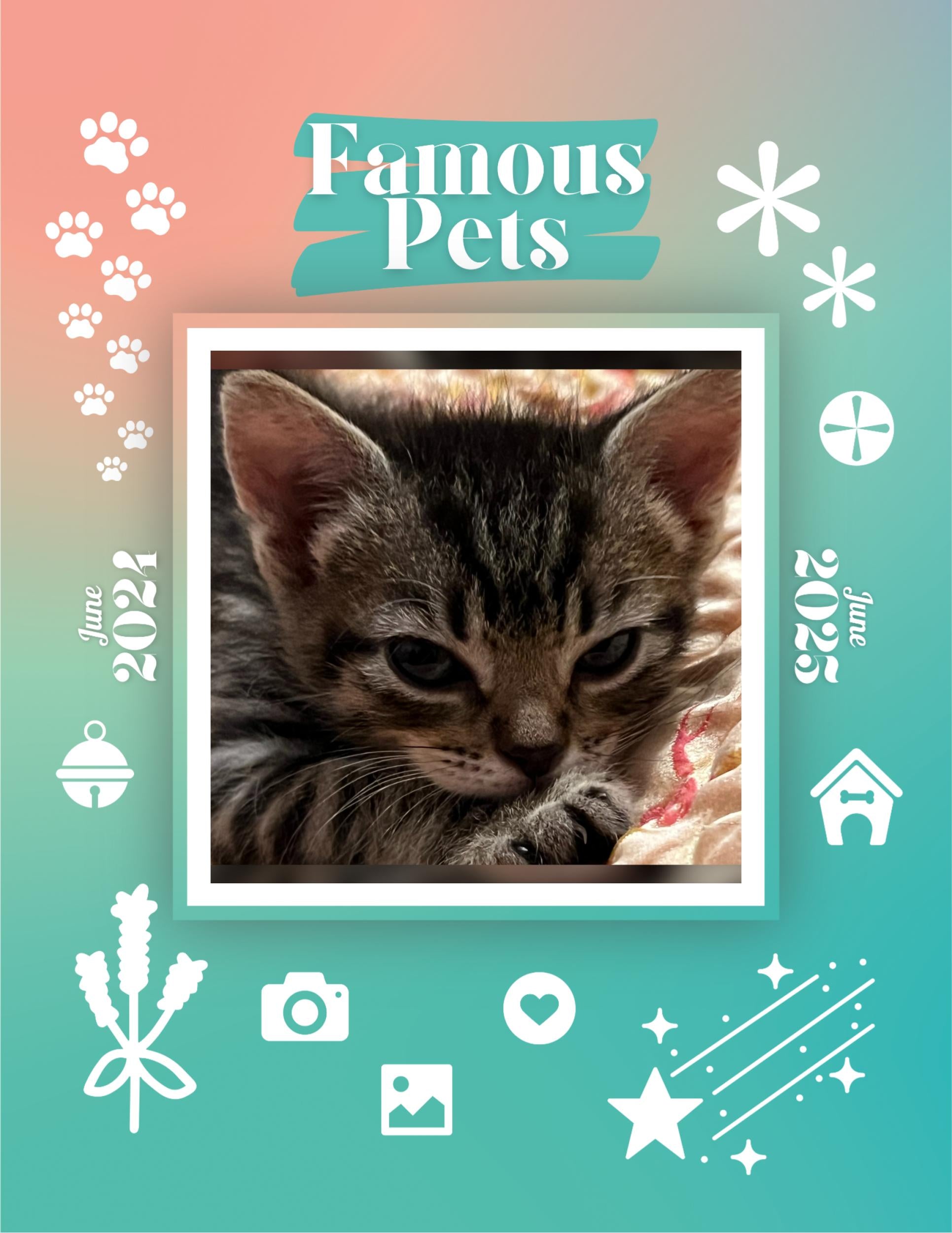 Famous Pets: June 2024-June 2025 Wall Calendar (Pre-Order)
