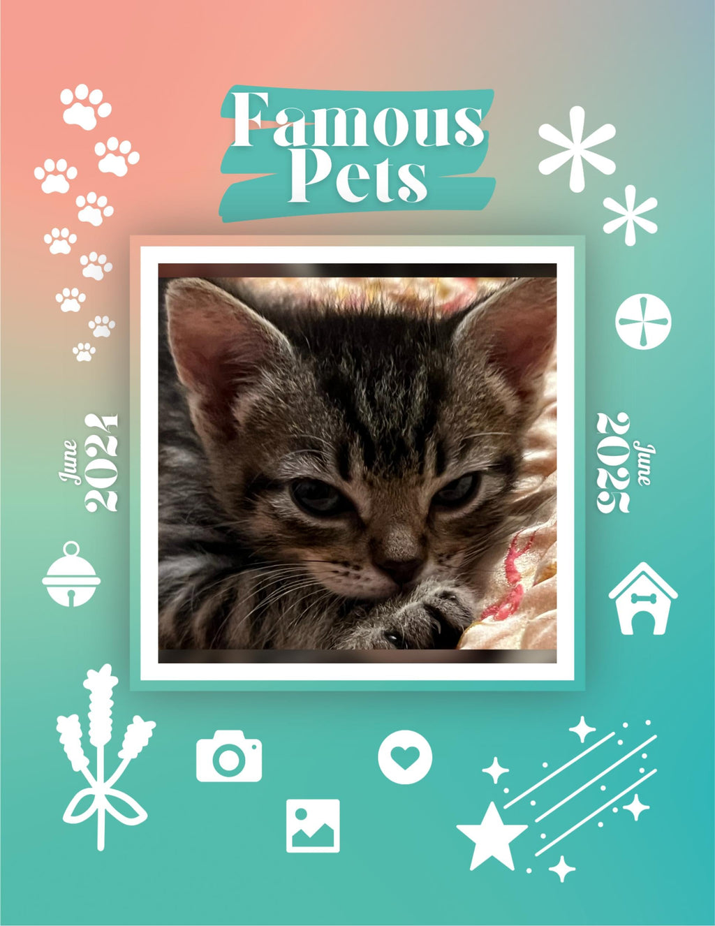 Famous Pets: June 2024-June 2025 Wall Calendar (Pre-Order)