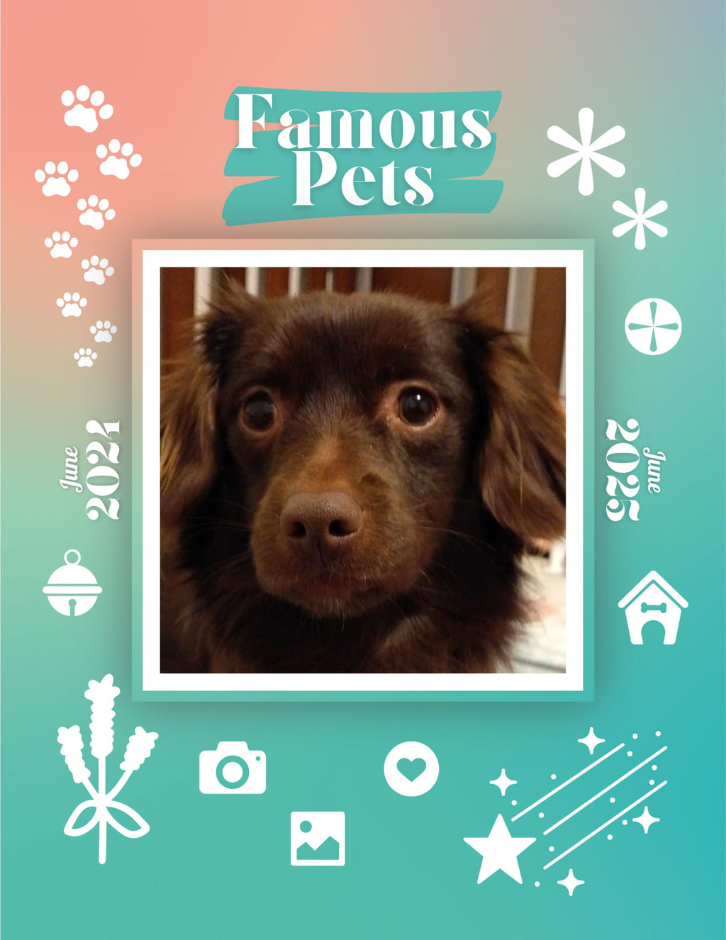 Famous Pets: June 2024-June 2025 Wall Calendar (Pre-Order)