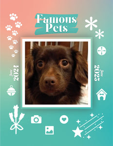 Famous Pets: June 2024-June 2025 Wall Calendar (Pre-Order)