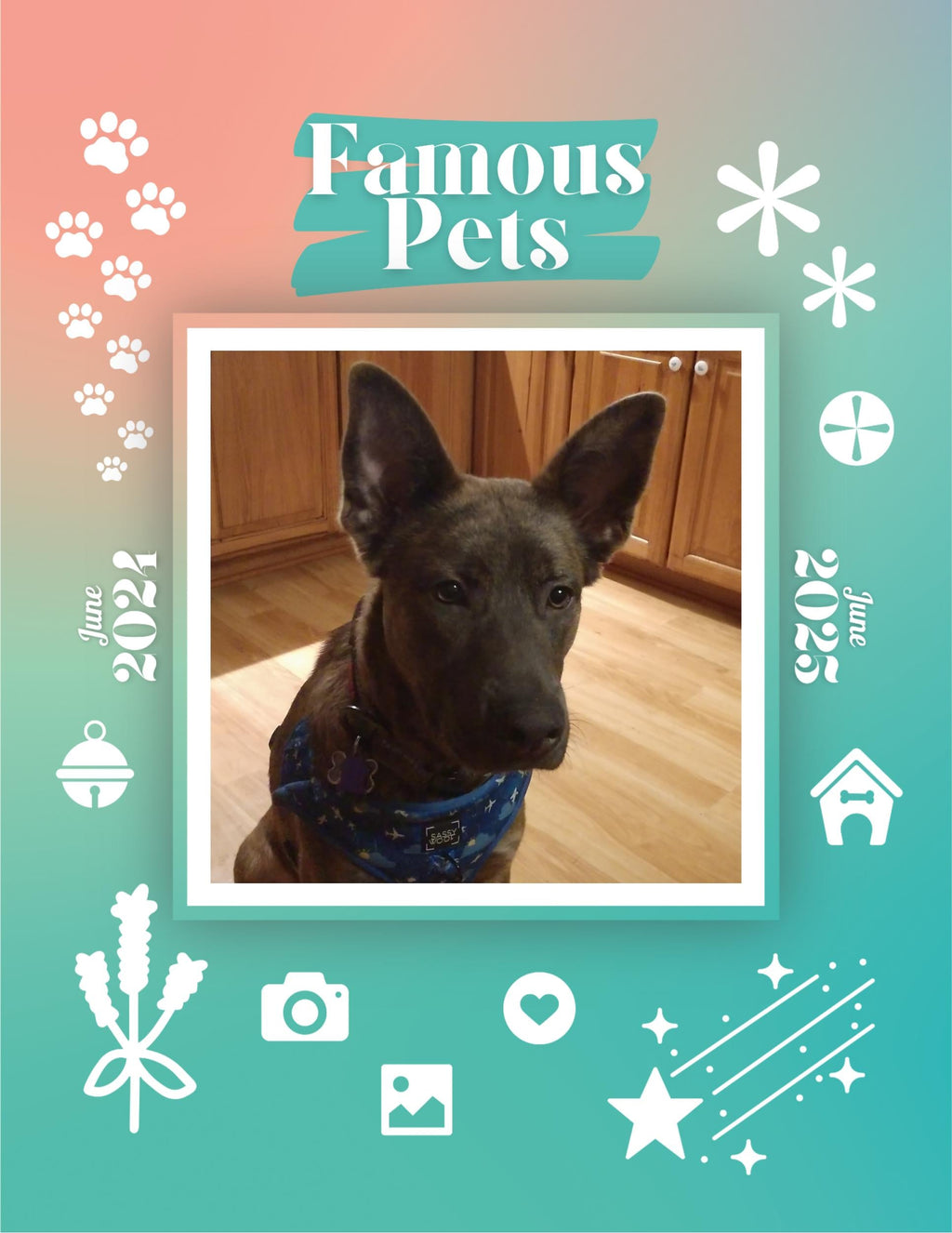 Famous Pets: June 2024-June 2025 Wall Calendar (Pre-Order)