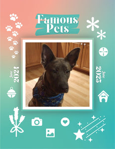 Famous Pets: June 2024-June 2025 Wall Calendar (Pre-Order)