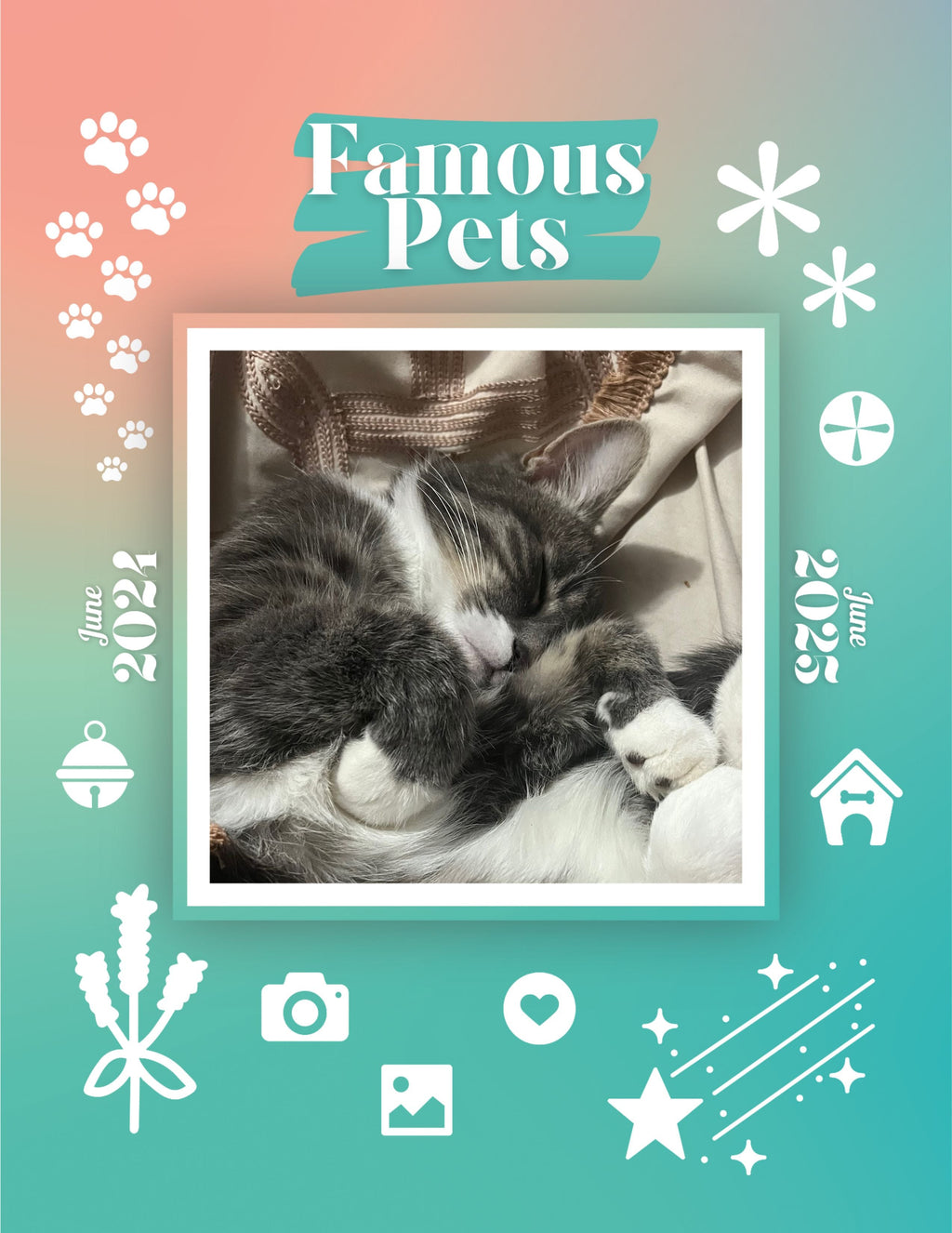 Famous Pets: June 2024-June 2025 Wall Calendar (Pre-Order)