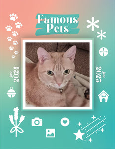 Famous Pets: June 2024-June 2025 Wall Calendar (Pre-Order)