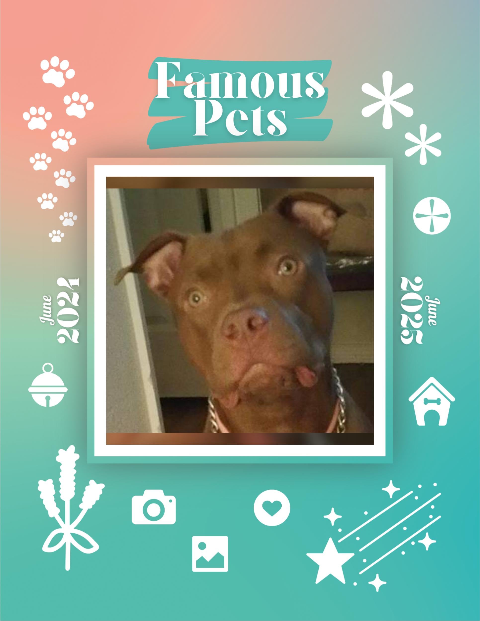 Famous Pets: June 2024-June 2025 Wall Calendar (Pre-Order)