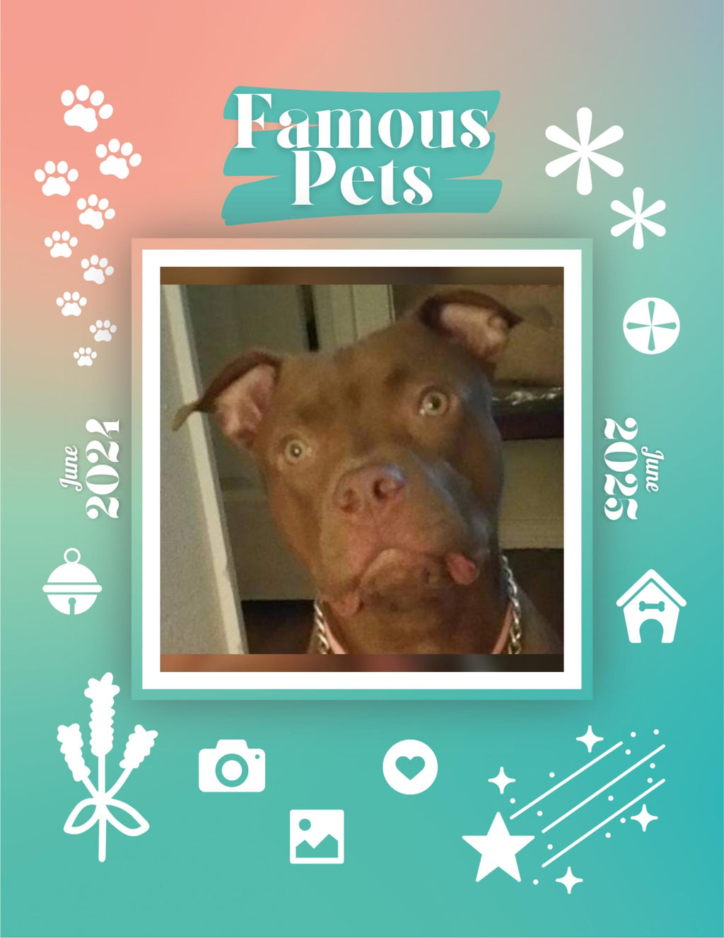 Famous Pets: June 2024-June 2025 Wall Calendar (Pre-Order)