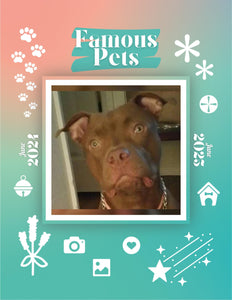 Famous Pets: June 2024-June 2025 Wall Calendar (Pre-Order)