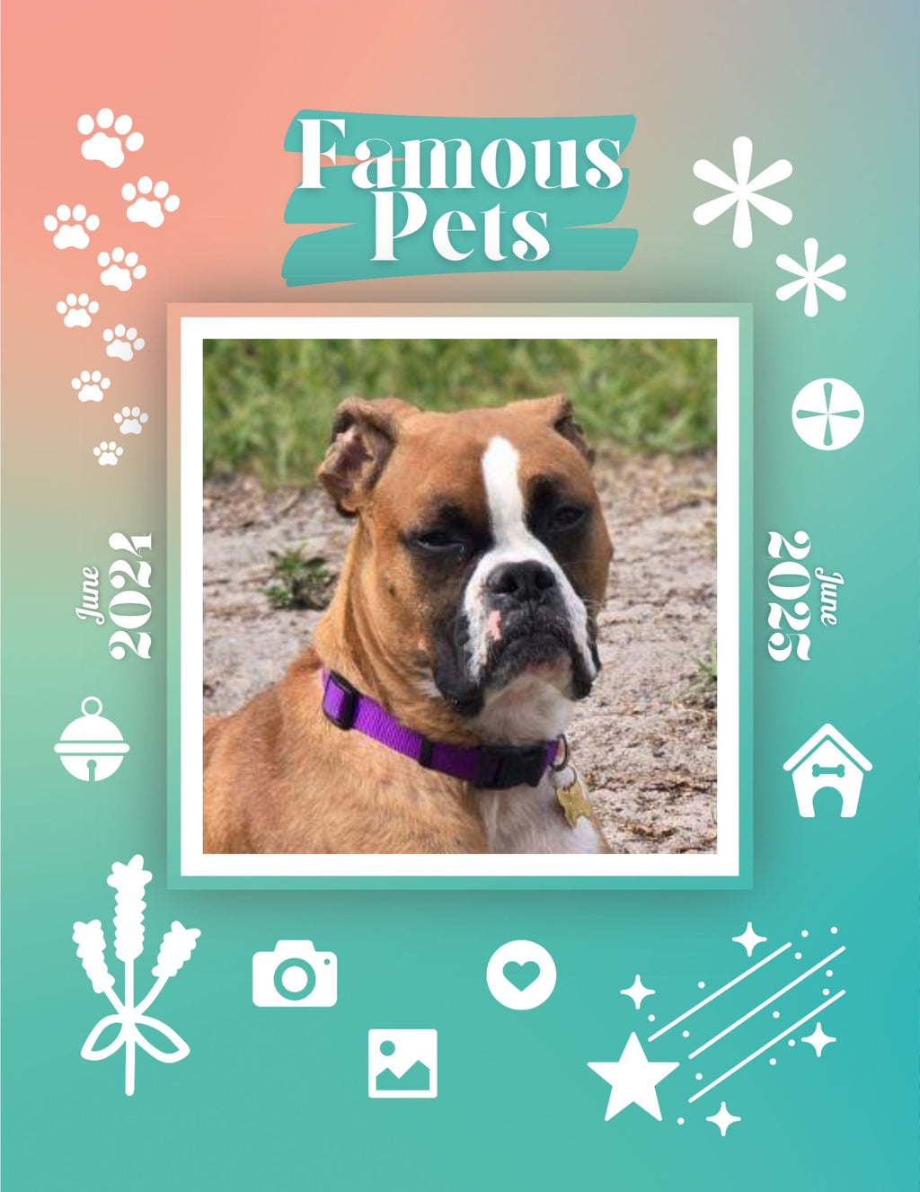 Famous Pets: June 2024-June 2025 Wall Calendar (Pre-Order)