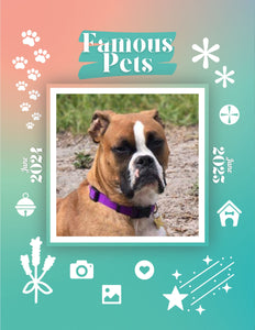 Famous Pets: June 2024-June 2025 Wall Calendar (Pre-Order)