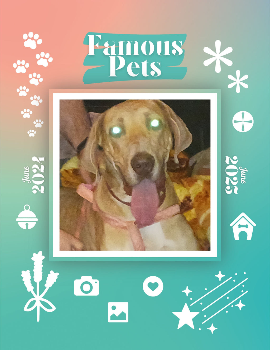 Famous Pets: June 2024-June 2025 Wall Calendar (Pre-Order)