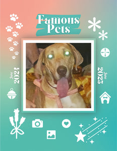 Famous Pets: June 2024-June 2025 Wall Calendar (Pre-Order)
