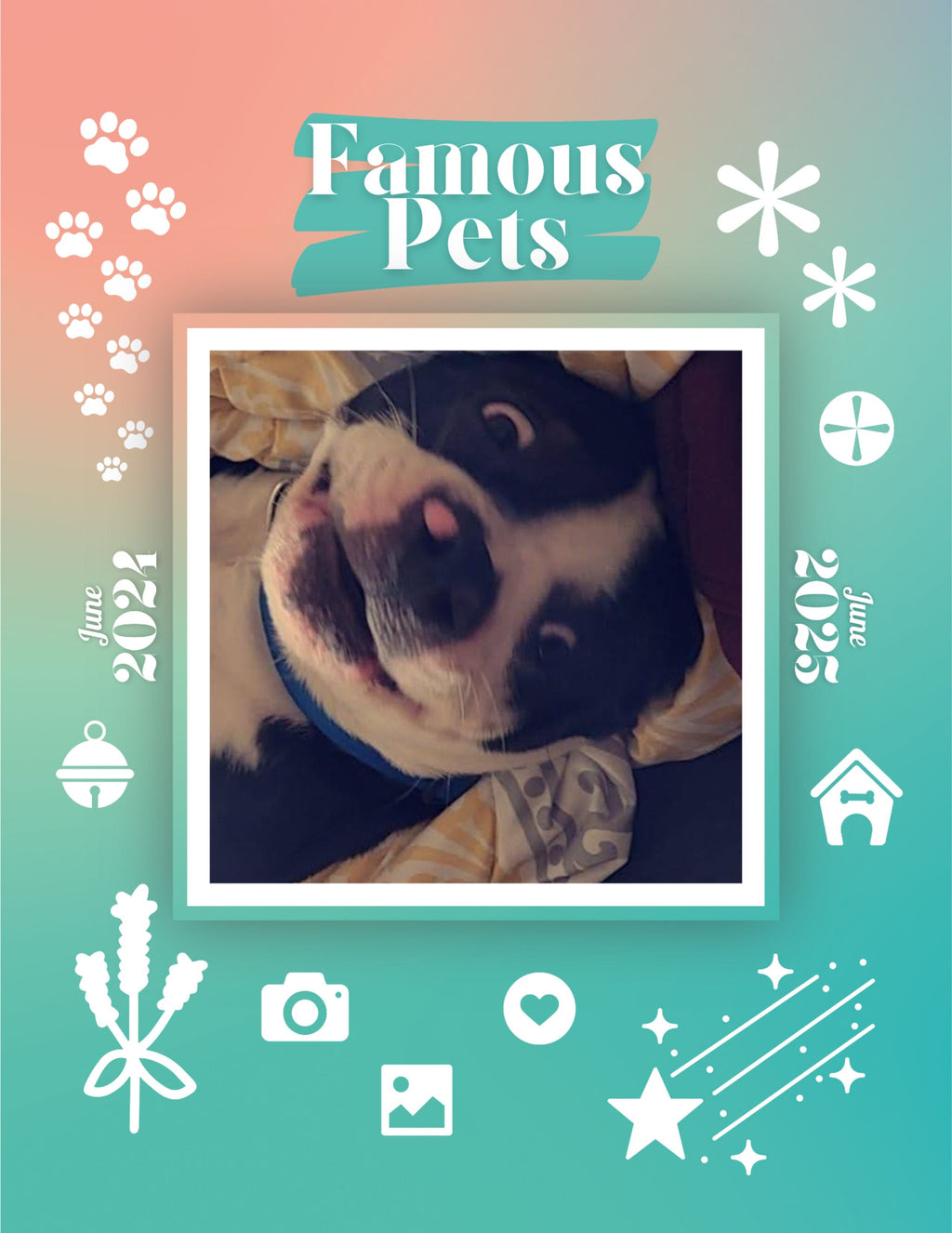 Famous Pets: June 2024-June 2025 Wall Calendar (Pre-Order)
