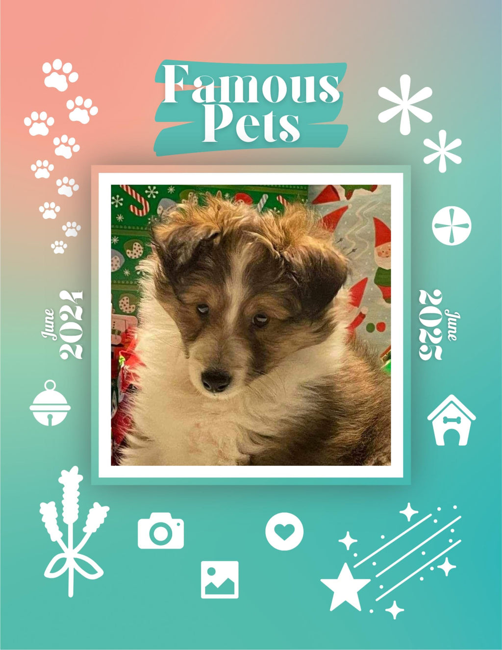 Famous Pets: June 2024-June 2025 Wall Calendar (Pre-Order)
