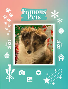 Famous Pets: June 2024-June 2025 Wall Calendar (Pre-Order)