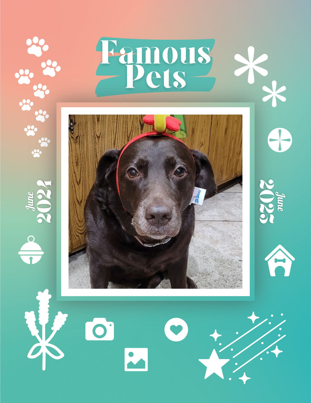 Famous Pets: June 2024-June 2025 Wall Calendar (Pre-Order)