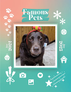 Famous Pets: June 2024-June 2025 Wall Calendar (Pre-Order)