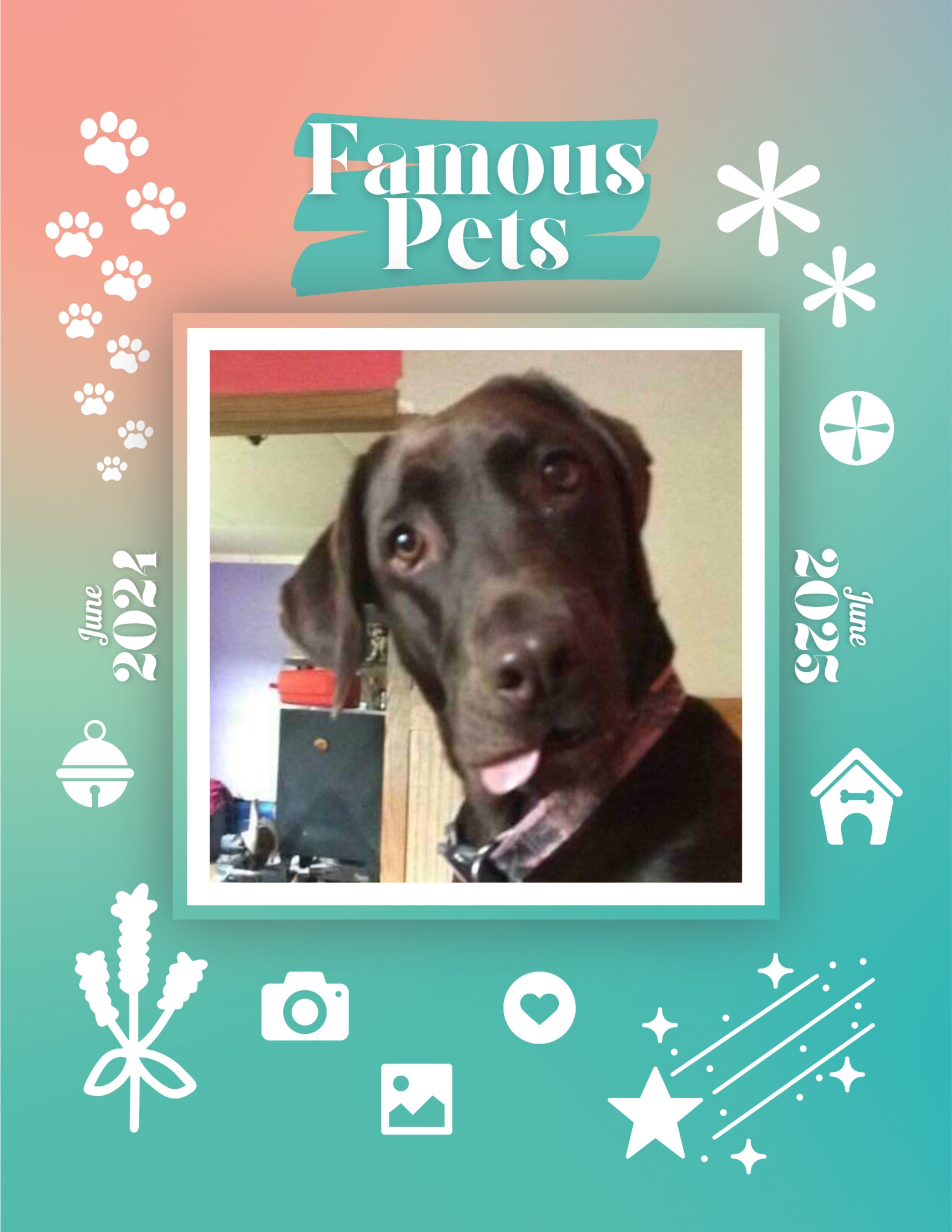 Famous Pets: June 2024-June 2025 Wall Calendar (Pre-Order)