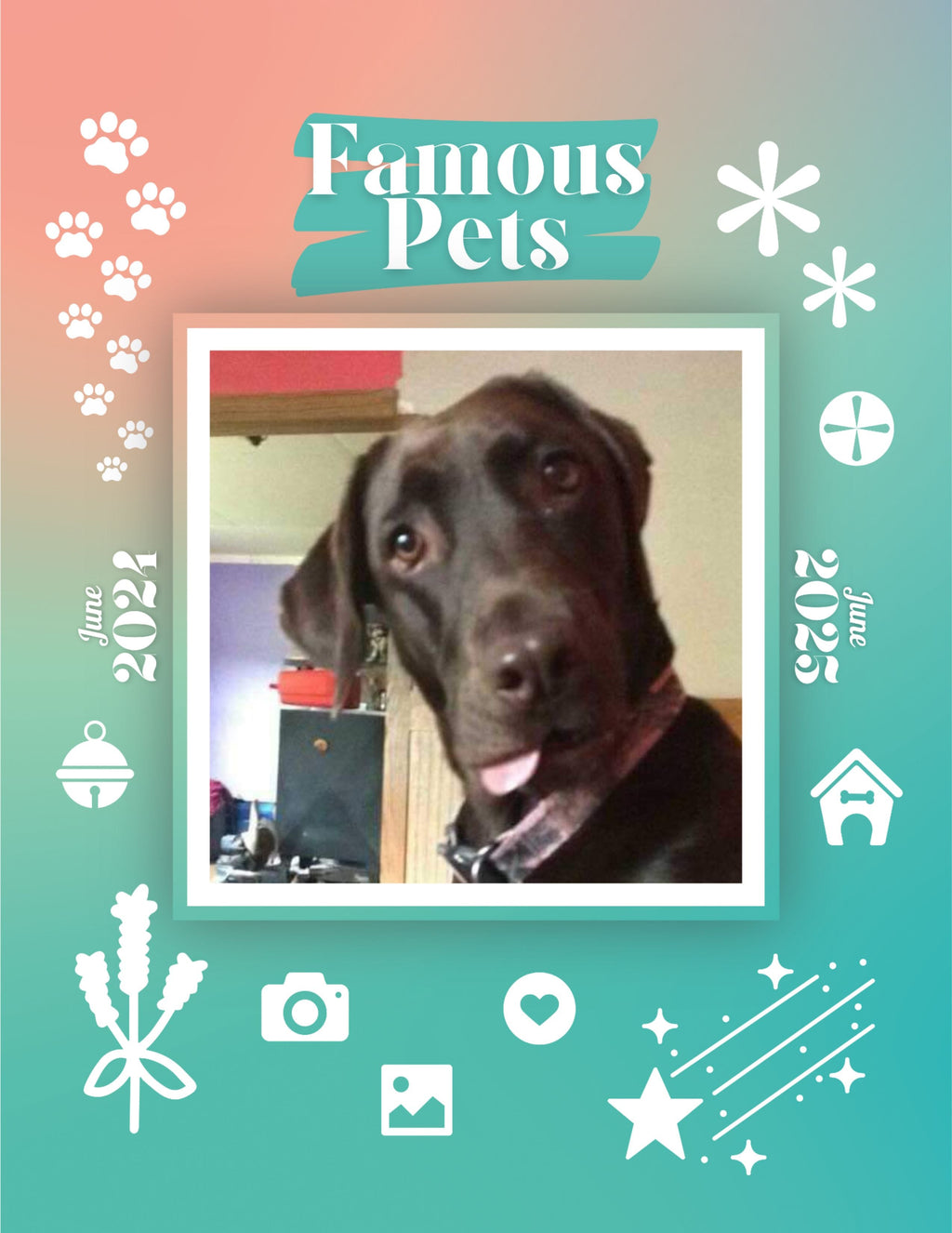 Famous Pets: June 2024-June 2025 Wall Calendar (Pre-Order)