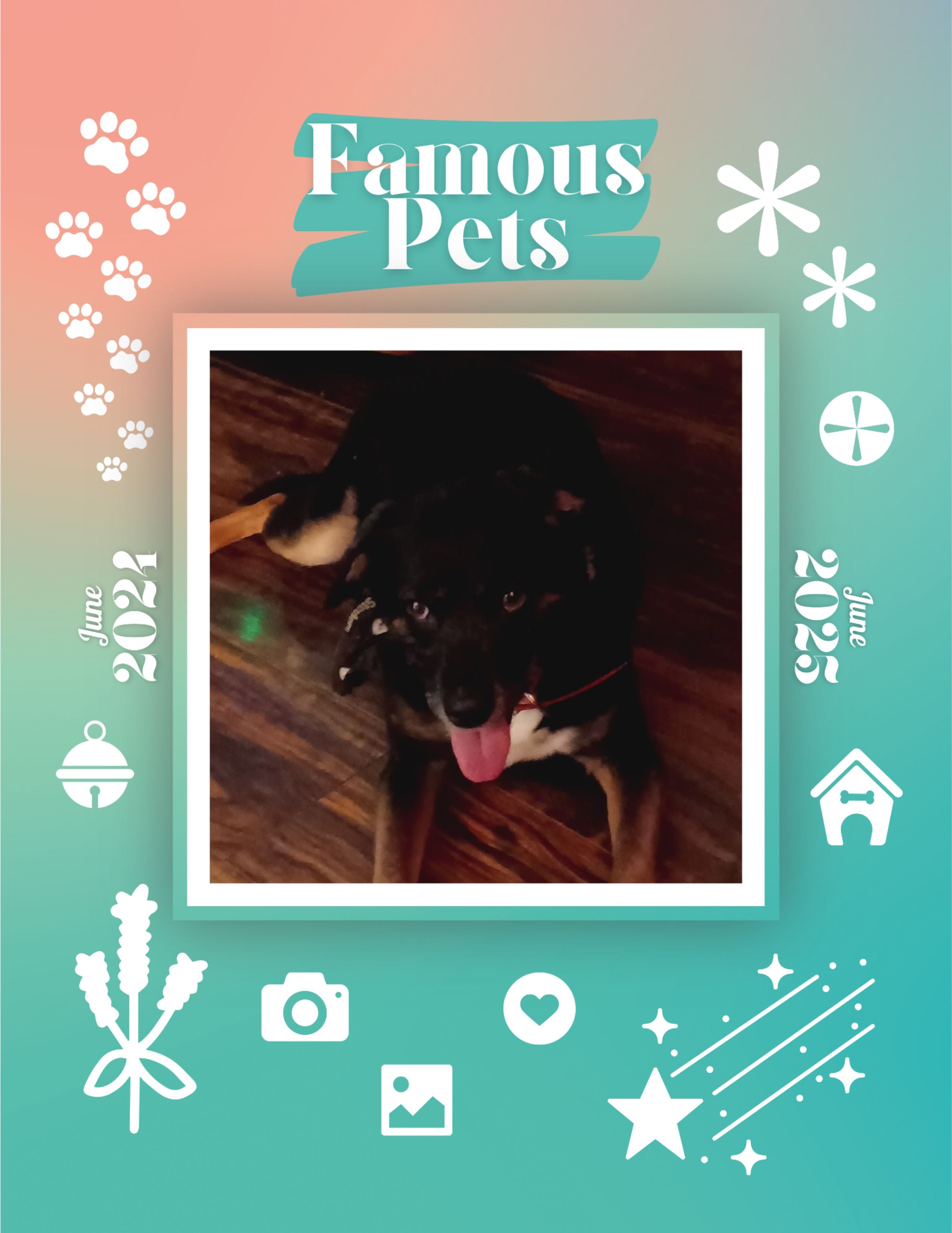 Famous Pets: June 2024-June 2025 Wall Calendar (Pre-Order)