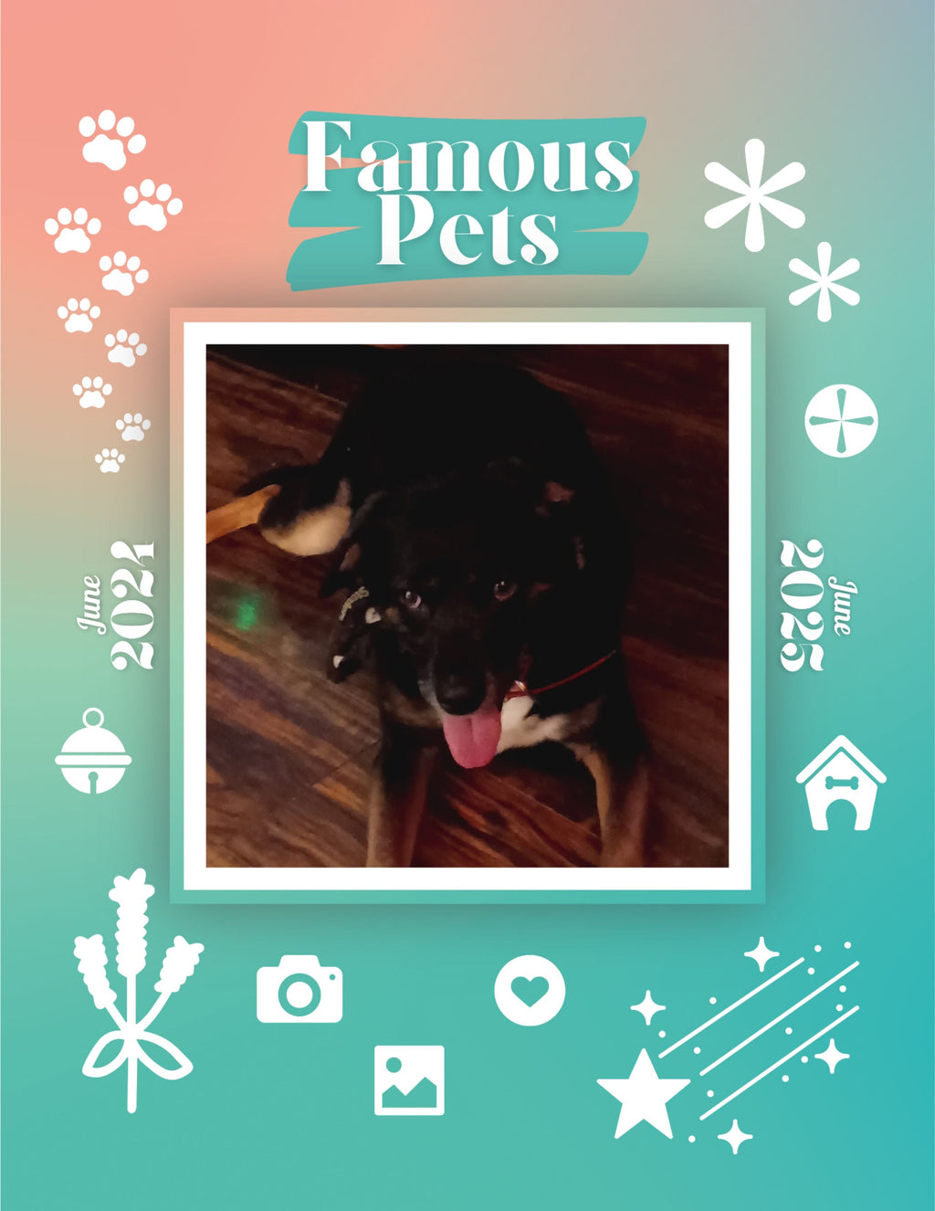 Famous Pets: June 2024-June 2025 Wall Calendar (Pre-Order)