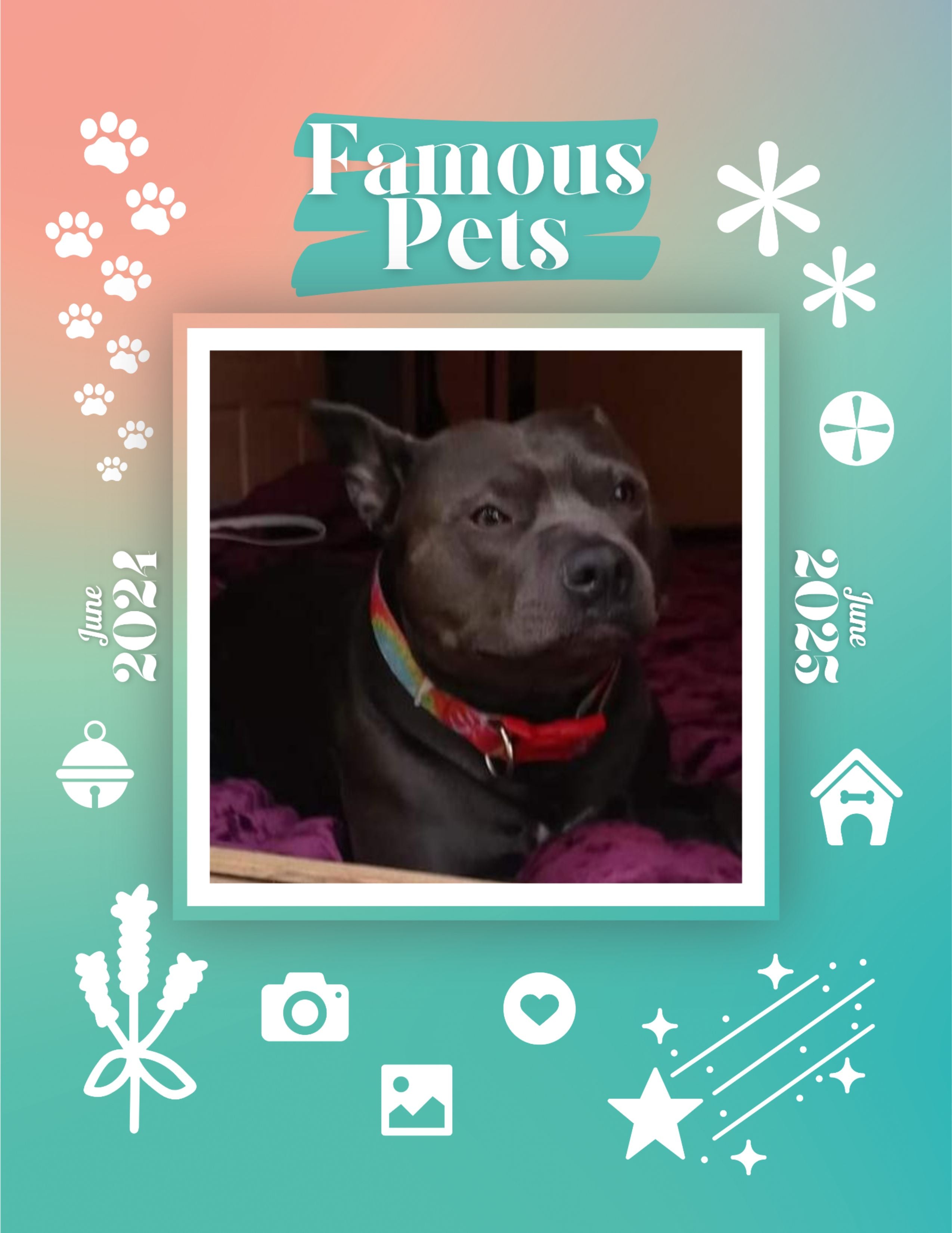 Famous Pets: June 2024-June 2025 Wall Calendar (Pre-Order)