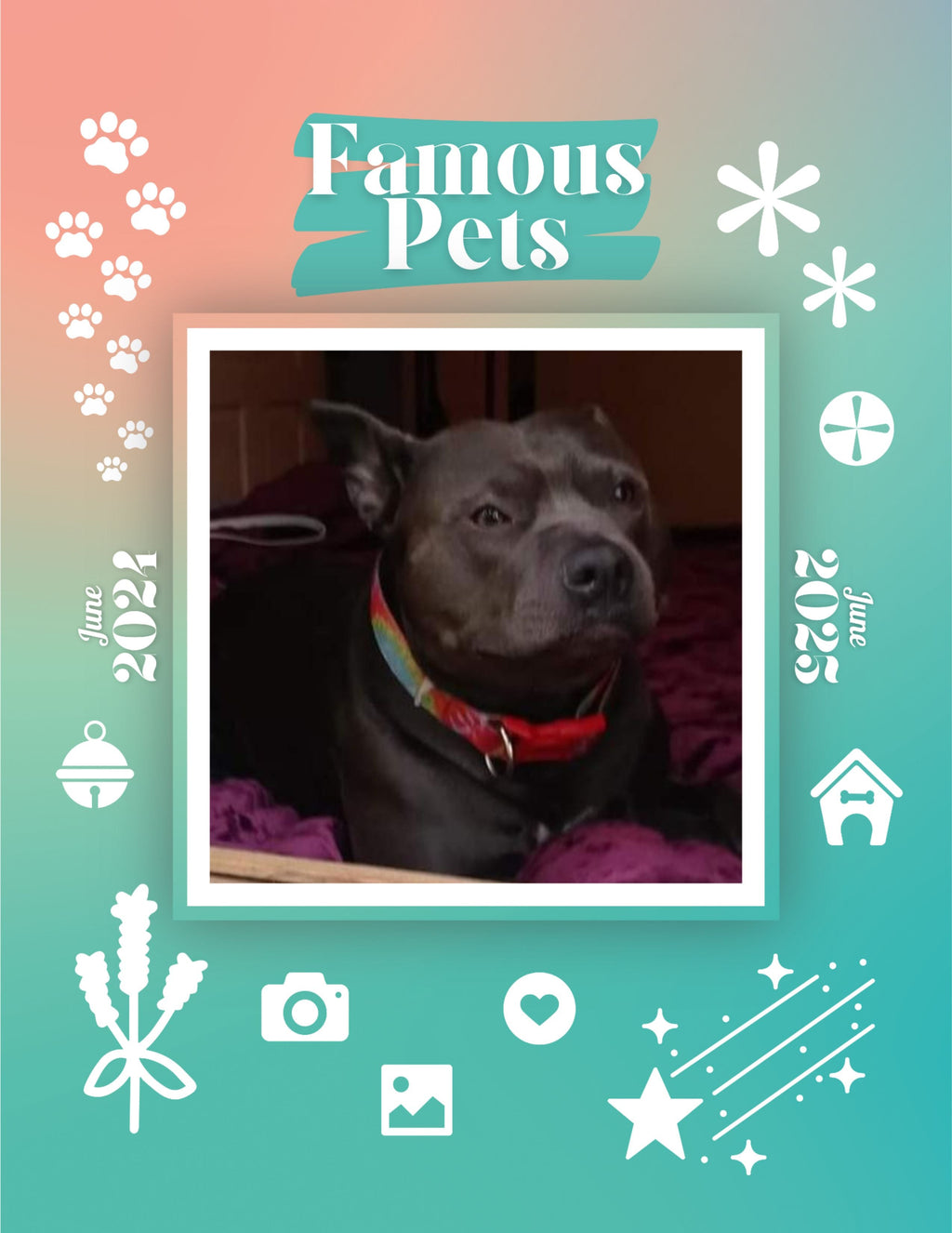 Famous Pets: June 2024-June 2025 Wall Calendar (Pre-Order)