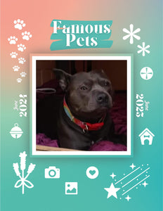 Famous Pets: June 2024-June 2025 Wall Calendar (Pre-Order)