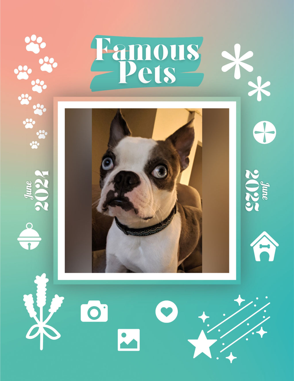 Famous Pets: June 2024-June 2025 Wall Calendar (Pre-Order)