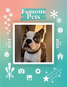 Famous Pets: June 2024-June 2025 Wall Calendar (Pre-Order)