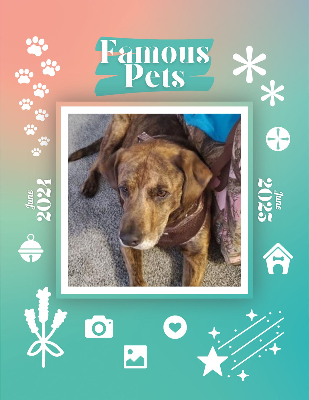 Famous Pets: June 2024-June 2025 Wall Calendar (Pre-Order)