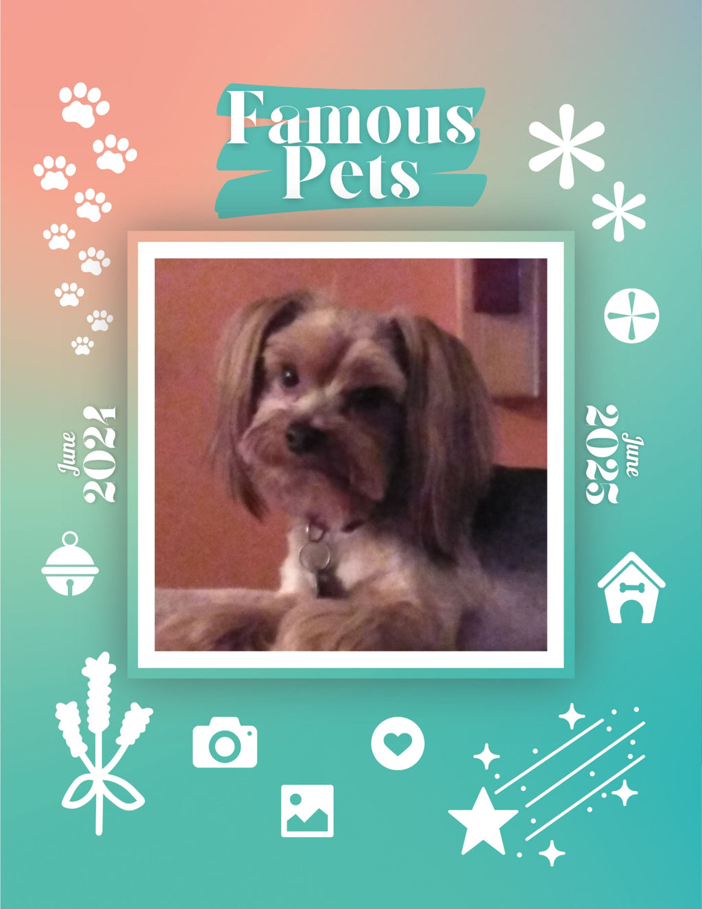 Famous Pets: June 2024-June 2025 Wall Calendar (Pre-Order)