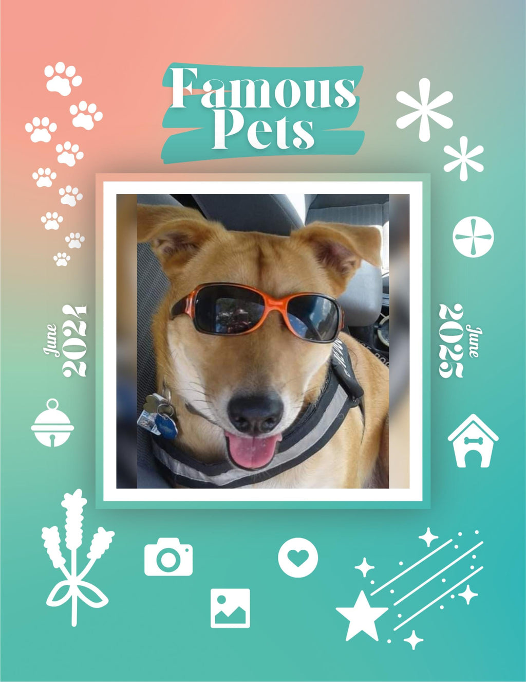 Famous Pets: June 2024-June 2025 Wall Calendar (Pre-Order)