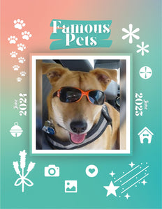 Famous Pets: June 2024-June 2025 Wall Calendar (Pre-Order)